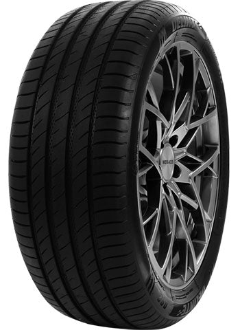 Anvelope vara 225/65R17 DELINTE DS2 102H (B,B,70)