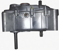 GEARBOX 1:11 - MICROCAR MGO V2 - 1009731 aftermarket