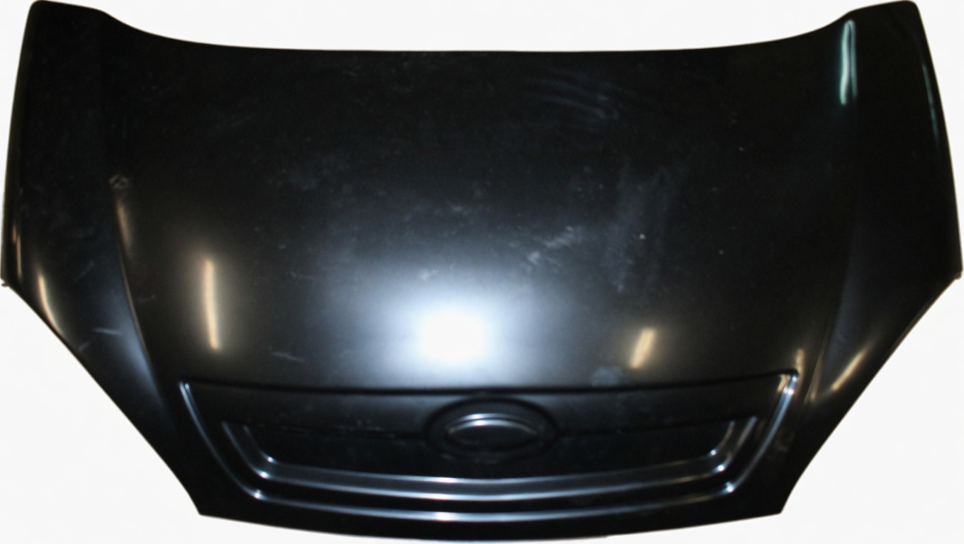BONNET GROUP - MICROCAR M.GO - 1008112 aftermarket