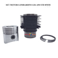 SET MOTOR LOMBARDINI LDA 450 DIAMETRU STD 85 MM