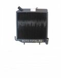 RADIATOR LIGIER CU VAS DE EXPANSIUNE