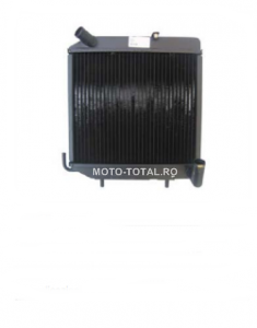 RADIATOR LIGIER CU VAS DE EXPANSIUNE