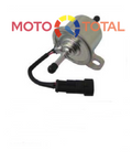 POMPA ALIMENTARE ELECTRICA LOMBARDINI 502/505