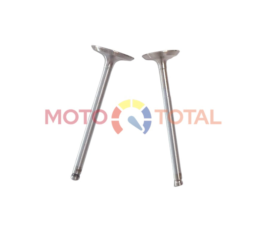 SET SUPAPE LOMBARDINI 450/510