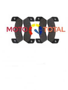 PLACUTE FRANA SPATE LIGIER