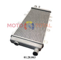 Radiator chatenet ch26 ch40 ch46 ch28 lombardini dci 492 482 progress