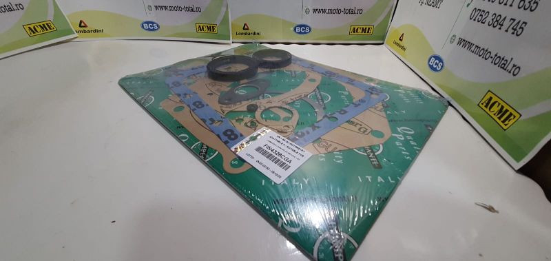 Set complet garnituri Lombardini LDA91