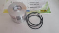 PISTON RUGGERINI RD 901